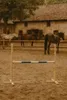 Hobby Horse Hurdle 120 cm bleu hauteur ajustable pour Voir les images du produit 3