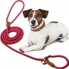 PETSTORY Hundeleine Haltegriff Nylon Rot L 150CM Produktbild-Vorschau 2