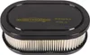 An air filter for a lawnmower engine. Produktbild-Vorschau