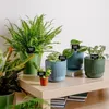 Set van 100 Weerbestendige Plantenlabels voor Buiten Productafbeelding-voorbeeld 4