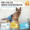HUND IST KÖNIG Windeln für Hündinnen [3 Stk], L (Taille Produktbild-Vorschau 2