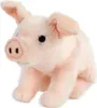 Maiale di peluche 23 cm - ECO-FRIENDLY Anteprima dell’immagine prodotto 2