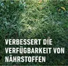 Rasen- & Gartenkalk Compo  10 kg / 200 m² Produktbild-Vorschau 5