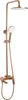 A copper shower set against a white background. Anteprima dell’immagine prodotto