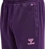 Hummel Hmlcore Xk polybroek - acai, maat: M Productafbeelding-voorbeeld 8