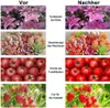 A collage of images showing the effects of a plant grow light on different plants, with German text indicating improvements. Náhľad obrázku produktu