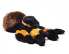 A plush toy tarantula is shown lying on its side against a white background. Produktbild-Vorschau