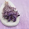 Lonas (Lonas Annua) - Flieder Produktbild-Vorschau 6