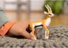schleich WILD LIFE 14861, 3 Jahr(e), Braun, Weiß, Produktbild-Vorschau 4