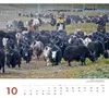 Tibet 2027 Produktbild-Vorschau 3