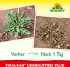Vorher= Viel Unkraut
Nachher = Unkraut vernichtet Produktbild-Vorschau
