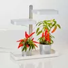 LED Pflanzenlampe Pflanzenleuchte Gewächslampe 30W Grow Produktbild-Vorschau 7
