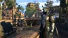 The Elder Scrolls Online: Morrowind [PS4] Produktbild-Vorschau 3