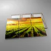 Bild auf Leinwand - Leinwandbild - Land Weingut Pflanzung - Produktbild-Vorschau 2
