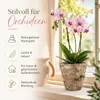 Harztopf für Orchideen – Pflanztopf in Steinoptik Vintage Produktbild-Vorschau 2