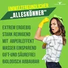 URBAN FOREST® Premium Putzstein intensiv Universalreiniger Produktbild-Vorschau 4