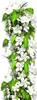 A vertical arrangement of white cherry blossoms and green leaves against a white background. Produktbild-Vorschau