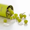 ZOKU Zoku - Food Jar L 500ml Light Green ZK 306-LG Produktbild-Vorschau 3