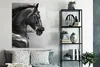 MuchoWow® Poster Pferde - Schwarz - Porträt - Tiere 90x120 Produktbild-Vorschau 4