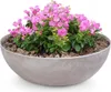 Pflanzschale für draußen Dekoschalen rund sand beige 37 cm Produktbild-Vorschau 1