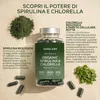 Aavalabs Spirulina & Chlorella Complex vegan Caps. 200 Anteprima dell’immagine prodotto 7