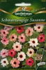 Schwarzäugige Susanne,  Pastell Selektion Produktbild-Vorschau 5