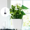 A close-up of a plant in a white pot with a water level indicator, placed near a window. Produktbild-Vorschau