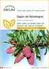SAFLAX  - Sapin de Nordmann - 20 graines - Abies Voir les images du produit 1
