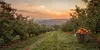 Cesto in vimini scuro per la raccolta di frutta, verdura, Anteprima dell’immagine prodotto 18