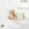 A stuffed dog and books are on a wall shelf. Produktbild-Vorschau