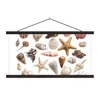 MuchoWow® Textilposter Muschel - Seestern - Weiß 60x30 cm Produktbild-Vorschau 1