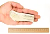RF-DEER Hirschgeweih SET 5x M 205-350 g 11-13 cm Soft Produktbild-Vorschau 2
