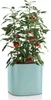 Fioriera LECHUZA PILA Colour Planter Verde Pastello | Anteprima dell’immagine prodotto 6