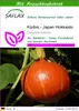 SAFLAX - Kürbis - Japan Hokkaido - Cucurbita maxima - 10 Produktbild-Vorschau 1