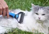 Verk 19313 Pettine per cani e gatti Anteprima dell’immagine prodotto 16