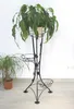 DanDiBo Blumentreppe Metall Schwarz 100 cm Blumenständer Produktbild-Vorschau 3