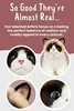 Living Nature Doudou chat Ragdoll - Jouet doux en peluche Voir les images du produit 3