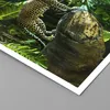 Poster - Poster ohne Rahmen - Dschungel Leopard Panther - Produktbild-Vorschau 2