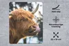 MuchoWow® Mauspad Mousepad Schottischer Highlander - Nase - Produktbild-Vorschau 2