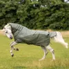 BUSSE Fliegendecke Rainfly Regendecke Light Olive 155 Produktbild-Vorschau 3