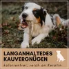 A dog is chewing on a bone-like object in a grassy outdoor setting. Produktbild-Vorschau