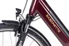 A close-up view of the front fork and part of the frame of a burgundy electric bicycle. Produktbild-Vorschau