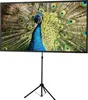 Celexon 1091741, Ręczny, 112 cm, 199 cm, 16:9 Podgląd zdjęcia produktu 1