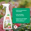 Silberkraft Neem Aktiv Spray zur Pflanzenpflege & Produktbild-Vorschau 4