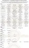 A collage of text and tables listing compatible maintenance kits for various coffee machine brands and models. Produktbild-Vorschau