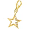 Goldener Stern Charm Anhänger für dein Armband I Echtschmuck

 Produktbild-Vorschau