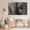 MuchoWow® Poster Elefant - Tiere - Nahaufnahme - Produktbild-Vorschau 7