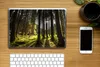 MuchoWow® Laptop Aufkleber Sticker Cover Baum - Natur - Produktbild-Vorschau 2