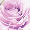 ARTland Wandbild, selbstklebend Pastell Rose Größe: 40x40 Produktbild-Vorschau 1