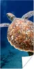 MuchoWow® Poster Schildkröte Fotodruck 60x120 cm - Produktbild-Vorschau 1